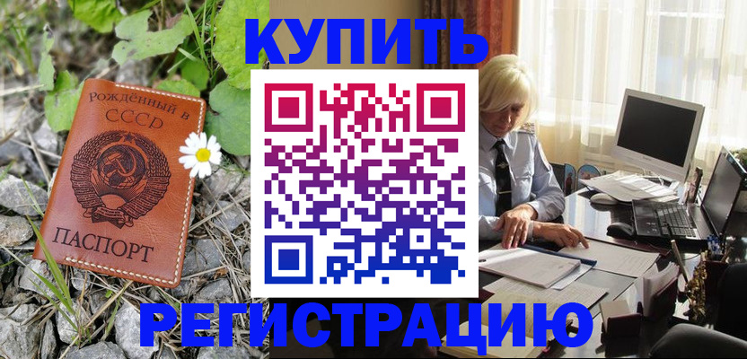 временная регистрация поиск в Новоузенске